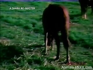 Nude amateur women in vintage zoophilia porn collection