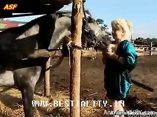 Blonde mature tries porn with a horse in brutal rounds