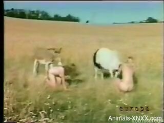 Dog licks these women and fucks their pussies