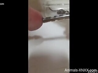 Naked man inserts a big worm in his cock for better pleasure