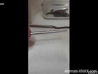 Naked man inserts a big worm in his cock for better pleasure