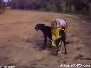 Sexy wife and her man involve their dog in sexual kinks