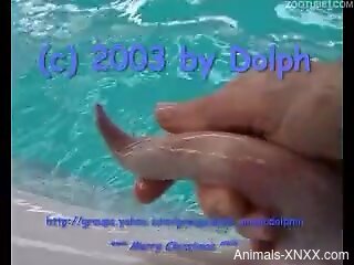 Underwater zoo kinks make the horny man feel excellent