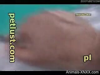 Underwater zoo kinks make the horny man feel excellent