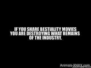 Slim babes share tasty dog dick in homemade zoo kinks