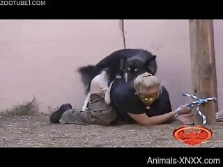 Fine blonde goes loud when the dog begins to fuck her