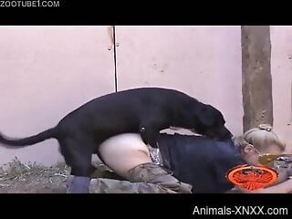 Fine blonde goes loud when the dog begins to fuck her