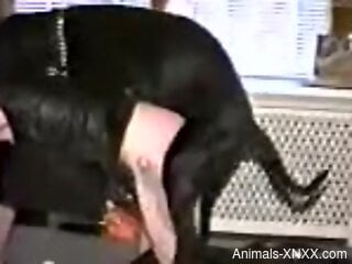 Dog fucks naked blonde from behind in vintage zoo sex scenes