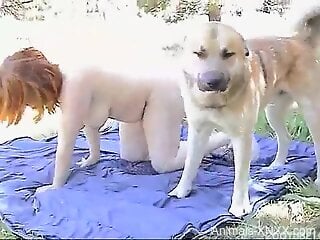 Redhead with big boobs gets dog fucked in outdoor picnic scenes
