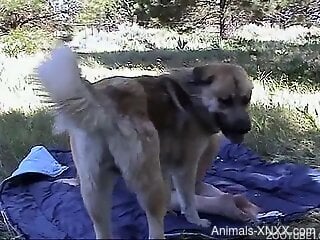 Redhead with big boobs gets dog fucked in outdoor picnic scenes