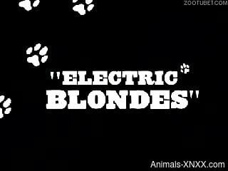 Busty woman tries the dog dick in each of her holes