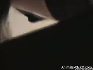 Busty mature puts the dog's dick in her mouth like a true whore