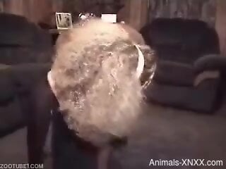 Insolent MILF cam fucked by her dog in very hot positions