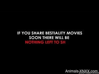 Tight woman feels tasty dog dick down the muff in homemade XXX