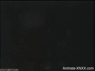 Midnight zoophilia kinks reveal the man's desire for dog ass