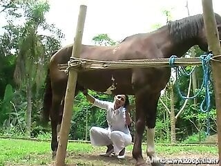 Slender Latina throats the horse's cock and fucks with it