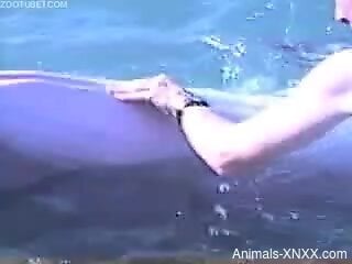 Horny guy at SeaWorld tries sexual perversions with the dolphin