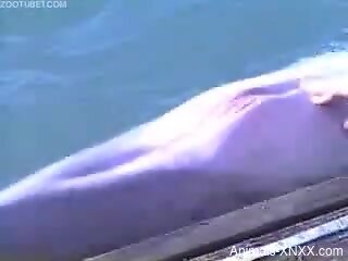 Horny guy at SeaWorld tries sexual perversions with the dolphin