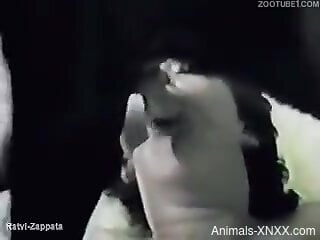 Amateur slut granted dog dick to fuck with in vintage scenes