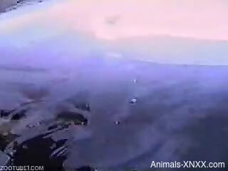 Energized amateur man finger fucks a dolphin to fulfill his de...