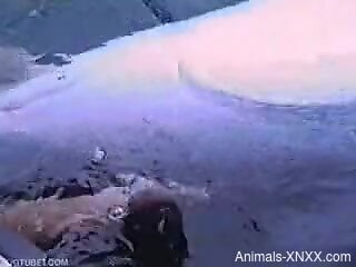 Energized amateur man finger fucks a dolphin to fulfill his de...