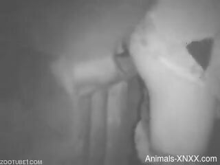 Half-naked amateur man lets animal fuck his ass