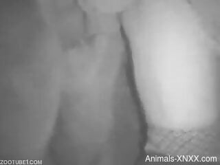 Half-naked amateur man lets animal fuck his ass