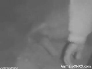 Half-naked amateur man lets animal fuck his ass