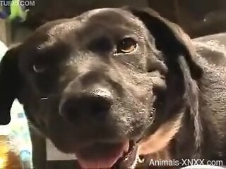 Mature blonde with chubby ass enjoys first anal dog porn