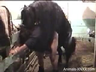 Horse fucks fat ass mature woman until she falls exhausted