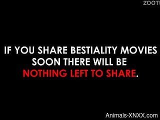 Latina women are set to share dog dick together