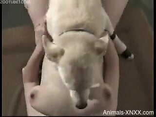 Pregnant woman swallows dog cum after rough zoo sex