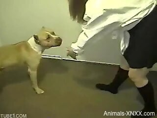 Clothed blonde lets curious dog penetrate her wet pussy