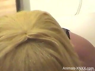 Aroused female granted tasty dog dick to play with in sexy scenes