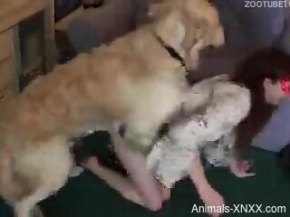 Amateur wife granted dog cock in the ass and pussy