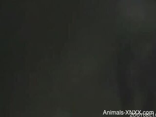 Blonde hottie tries dog dick in each of her holes