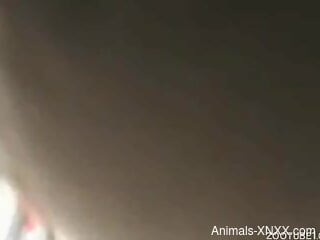 Blonde hottie tries dog dick in each of her holes