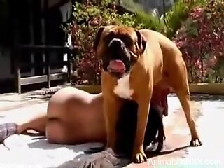 Sexy female gets doggy style fucked by the dog in sunny scenes