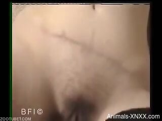 Fine sluts make out in mutual zoophilia at home