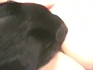 Fine ass babe granted with dog dick in each of her holes