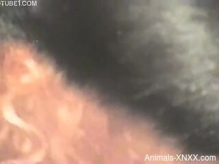 Fine ass babe granted with dog dick in each of her holes