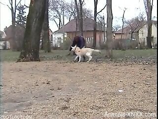 Thin amateur receives plenty of dog dick to fuck with