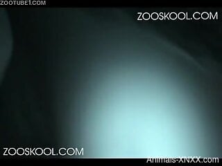 Naughty whore is having zoo sex at home