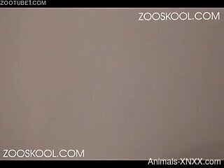 Naughty whore is having zoo sex at home