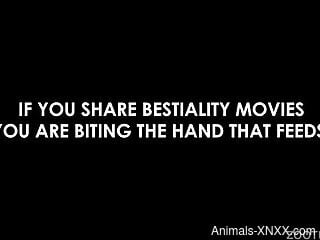 Aroused brunette gets taped with a big dog dick in her mouth