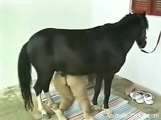 Amateur girls share hot compilation of dog porn kinks