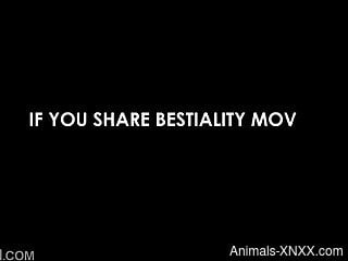 Masked curvy chick is enjoying zoo sex