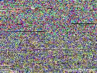 Hot blonde plays with the dog in home alone sex scenes