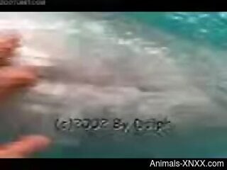 Zoophile is having fingering in the water