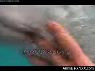 Zoophile is having fingering in the water